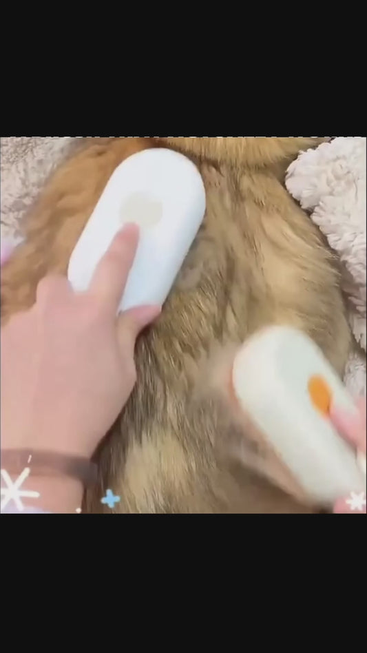 3-IN-1 PET GROOMING BRUSH